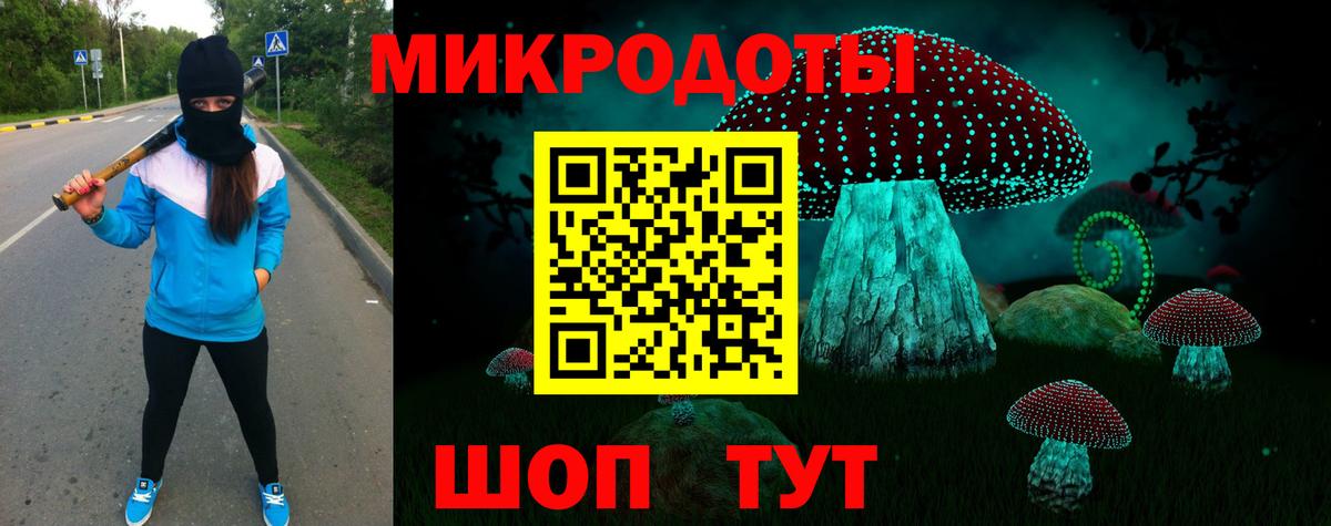 Галлюциногенные грибы Cubensis Кыштым