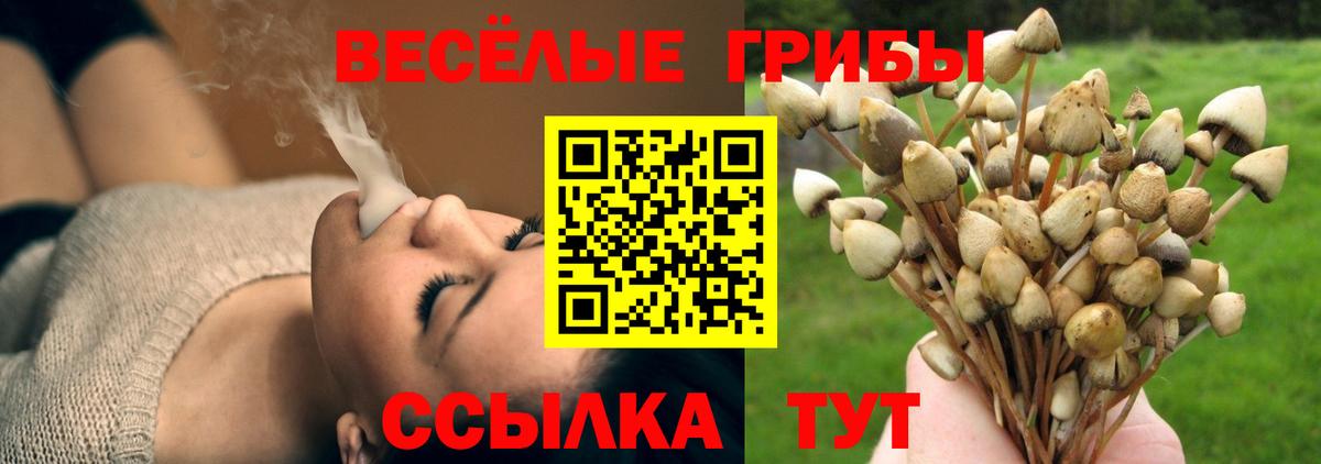наркошоп  Галлюциногенные грибы Psilocybe  Вход с VPN  Кыштым 